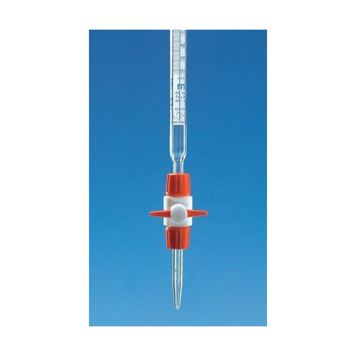 Byreta kompaktná s Schellbachovým pruhom