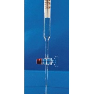 Byreta s Schellbachovým pruhom, tr. AS