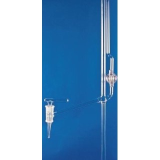 Mikrobyreta poda Banga, tr. AS