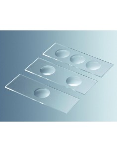 Mikrosklo podložné s jamkami